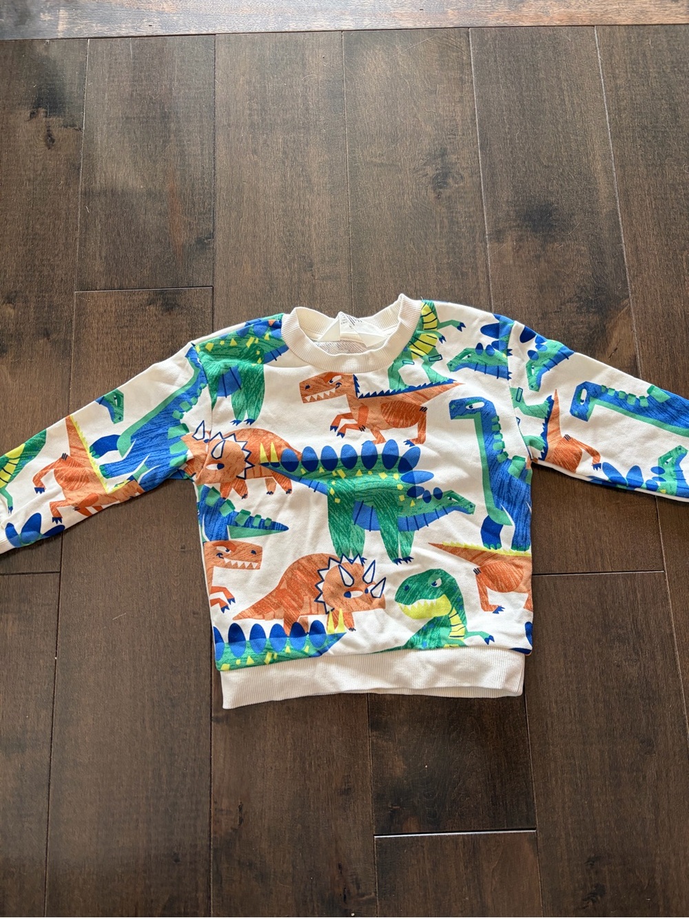 Kids Dinosaur Print Sweatshirt - White with Green & Blue Dinosaurs